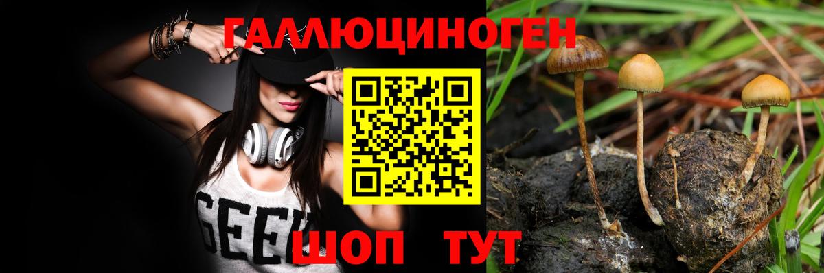 Псилоцибиновые грибы GOLDEN TEACHER Подольск