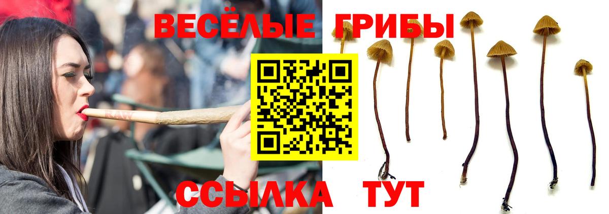 Галлюциногенные грибы мицелий  Псилоцибиновые грибы MAGIC MUSHROOMS  Подольск  Вход с VPN 
